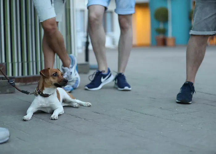 Ritual - Adults Only