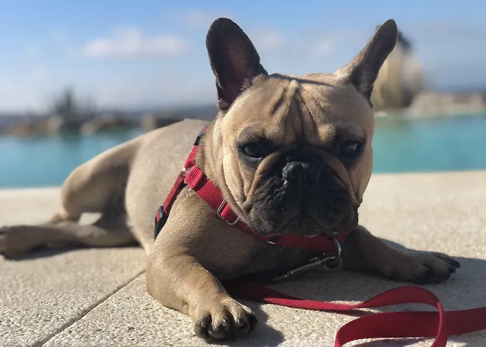 Ritual - Adults Only